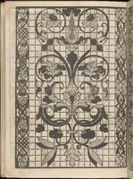 Picture 5 of 18 from Splendore delle virtuose giouani doue si contengono molte,varie mostre fogliami. Cioe punti in aere, et punti tagliati, bellissimi,... (1564), leaf 8