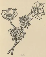 An illustration from L'art dans les travaux à l'aiguille (1897)