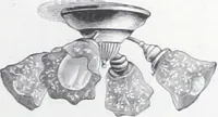Picture 64 of 69 from Frink's patent reflectors for electric and combination fixtures : for lighting churches, halls, banks ... (1898), leaf 54