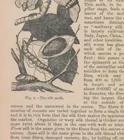 Picture 1 of 10 from Garment dyeing and cleaning: a practical book for practical men (1901), leaf 34