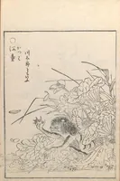 An illustration from Gazu Hyakki yagyō (1805)