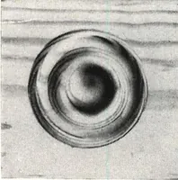 An illustration from General catalog 1911-1912 (1912)