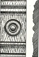 Picture 243 of 1112 from General catalog 1911-1912 (1912), leaf 137