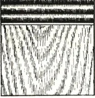 An illustration from General catalog 1911-1912 (1912)