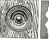 An illustration from General catalog 1911-1912 (1912)