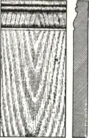 An illustration from General catalog 1911-1912 (1912)