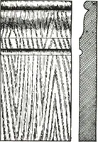 An illustration from General catalog 1911-1912 (1912)