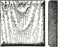 An illustration from General catalog 1911-1912 (1912)