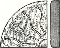 Picture 256 of 1112 from General catalog 1911-1912 (1912), leaf 138