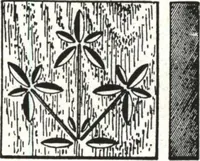 Picture 264 of 1112 from General catalog 1911-1912 (1912), leaf 138