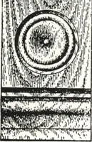 Picture 266 of 1112 from General catalog 1911-1912 (1912), leaf 139
