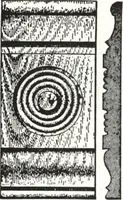 An illustration from General catalog 1911-1912 (1912)
