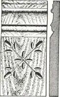 Picture 276 of 1112 from General catalog 1911-1912 (1912), leaf 140