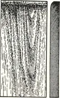 Picture 277 of 1112 from General catalog 1911-1912 (1912), leaf 140