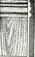 An illustration from General catalog 1911-1912 (1912)