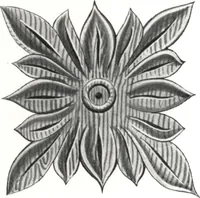 Picture 302 of 1112 from General catalog 1911-1912 (1912), leaf 151