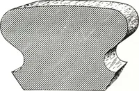 An illustration from General catalog 1911-1912 (1912)