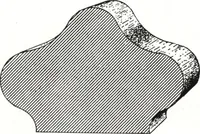 An illustration from General catalog 1911-1912 (1912)