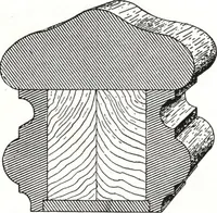 An illustration from General catalog 1911-1912 (1912)