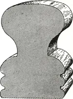 An illustration from General catalog 1911-1912 (1912)
