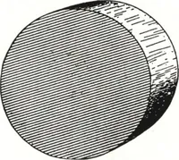 An illustration from General catalog 1911-1912 (1912)