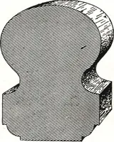 An illustration from General catalog 1911-1912 (1912)