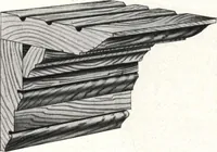 An illustration from General catalog 1911-1912 (1912)