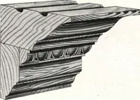An illustration from General catalog 1911-1912 (1912)