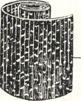 Picture 446 of 1112 from General catalog 1911-1912 (1912), leaf 242
