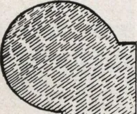 An illustration from General catalog 1911-1912 (1912)