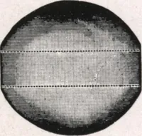 An illustration from General catalog 1911-1912 (1912)