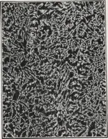 An illustration from General catalog 1911-1912 (1912)