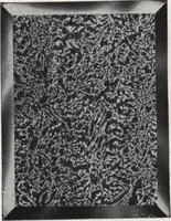 An illustration from General catalog 1911-1912 (1912)