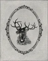 An illustration from General catalog 1911-1912 (1912)