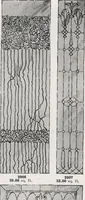 An illustration from General catalog 1911-1912 (1912)
