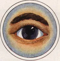 An illustration from General catalog 1911-1912 (1912)