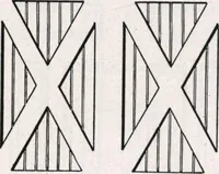 An illustration from General catalog 1911-1912 (1912)