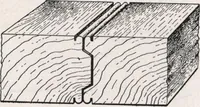 An illustration from General catalog 1911-1912 (1912)