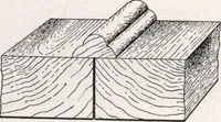 An illustration from General catalog 1911-1912 (1912)