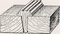 An illustration from General catalog 1911-1912 (1912)