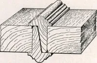 An illustration from General catalog 1911-1912 (1912)