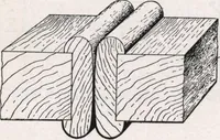 An illustration from General catalog 1911-1912 (1912)