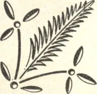 An illustration from General catalogue of E.L. Roberts & Co., wholesale manufacturers of doors, glazed sash, blinds: no. 600 (1908)