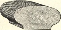 An illustration from General catalogue of E.L. Roberts & Co., wholesale manufacturers of doors, glazed sash, blinds: no. 600 (1908)