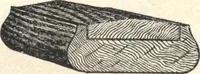 An illustration from General catalogue of E.L. Roberts & Co., wholesale manufacturers of doors, glazed sash, blinds: no. 600 (1908)