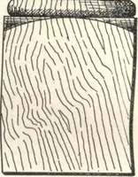 An illustration from General catalogue of E.L. Roberts & Co., wholesale manufacturers of doors, glazed sash, blinds: no. 600 (1908)