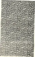 An illustration from General catalogue of E.L. Roberts & Co., wholesale manufacturers of doors, glazed sash, blinds: no. 600 (1908)