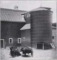 An illustration from Modern building ideas and plans (1913)