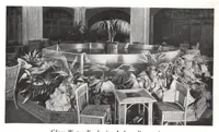 Picture 8 of 19 from Glass, paints, varnishes and brushes: their history, manufacture, and use (1923), leaf 142