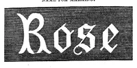 Picture 11 of 13 from Godey's Lady's Book April 1864 (1864), leaf 73
